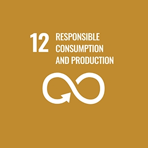 12 責任消費及生產