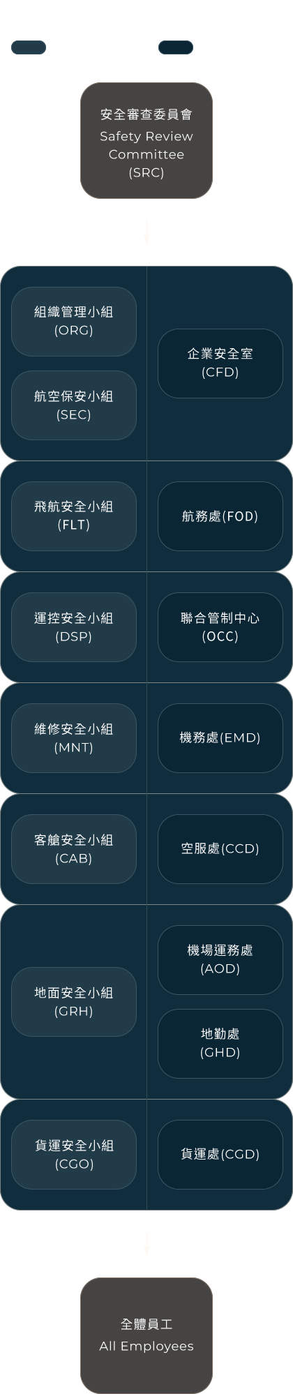 安全審查委員會